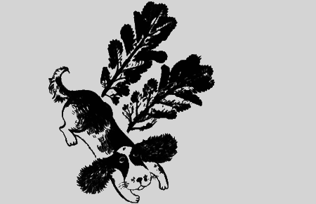 Собаки не ошибаются - img35.png