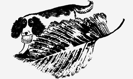 Собаки не ошибаются - img36.png