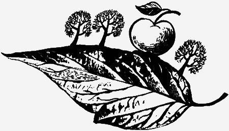 Собаки не ошибаются - img39.png