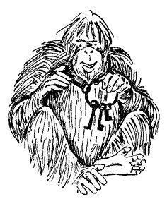 Обезьяны, обезьяны, обезьяны... - _45.jpg