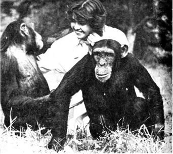 Обезьяны, обезьяны, обезьяны... - _95.jpg