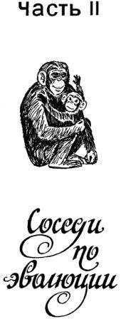 Обезьяны, обезьяны, обезьяны... - _39.jpg