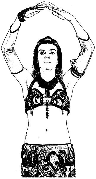 Арабские танцы. Самоучитель - i_018.png