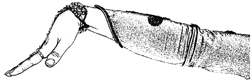 Арабские танцы. Самоучитель - i_023.png