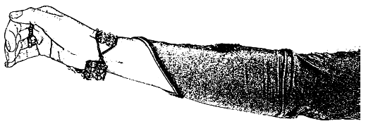 Арабские танцы. Самоучитель - i_024.png