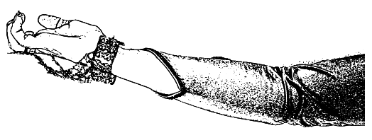 Арабские танцы. Самоучитель - i_025.png