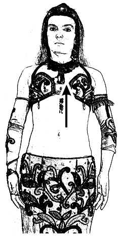 Арабские танцы. Самоучитель - i_096.png
