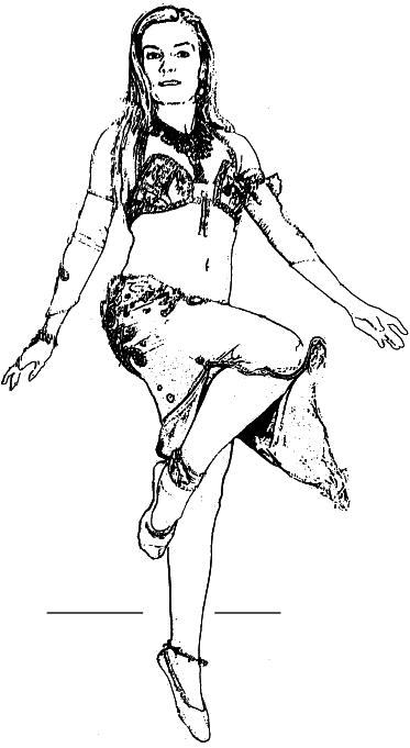 Арабские танцы. Самоучитель - i_126.png