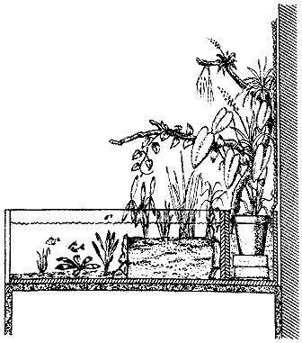 По аллеям гидросада - _11.jpg