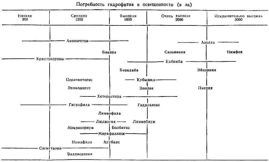 По аллеям гидросада - _4.jpg