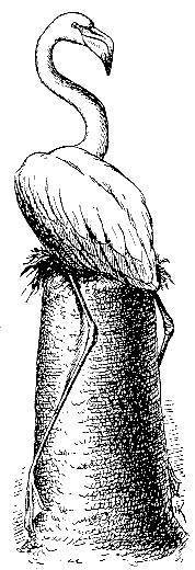 Море живёт - _50.jpg