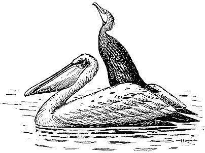 Море живёт - _49.jpg