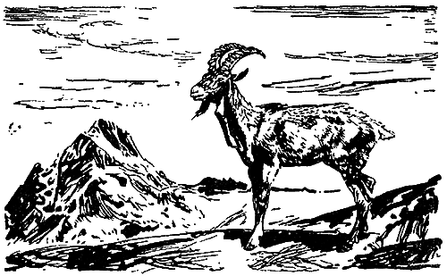 Великие открытия (илл.) - i_054.png