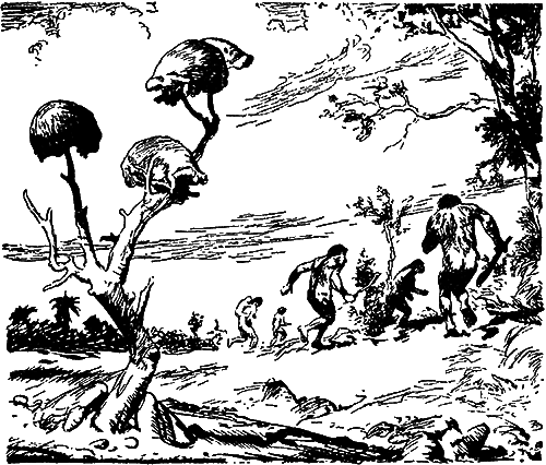 Великие открытия (илл.) - i_058.png