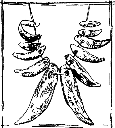 Великие открытия (илл.) - i_065.png