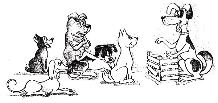 Про умного Карла - img085207copy.jpg