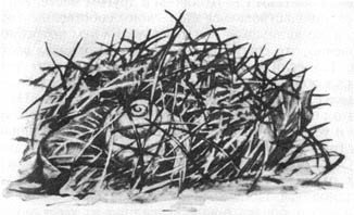 Из жизни пчёл - _123.jpg