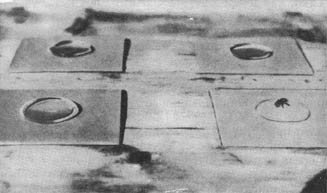 Из жизни пчёл - _43.jpg