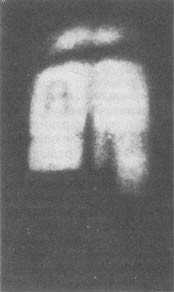 Из жизни пчёл - _61.jpg