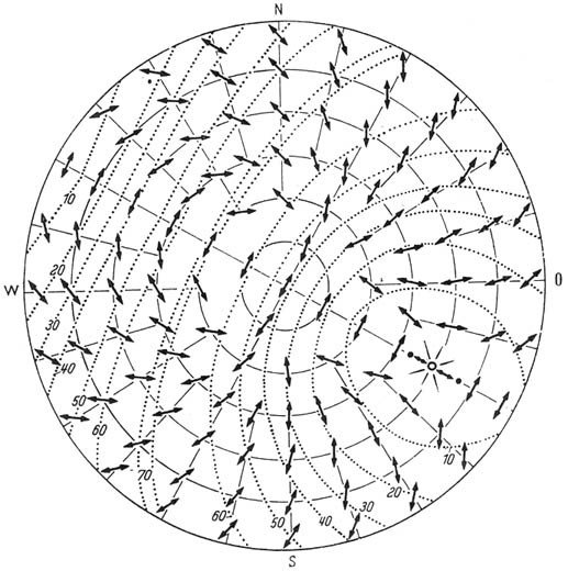 Из жизни пчёл - _70.jpg