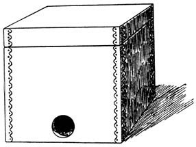 Из жизни пчёл - _39.jpg