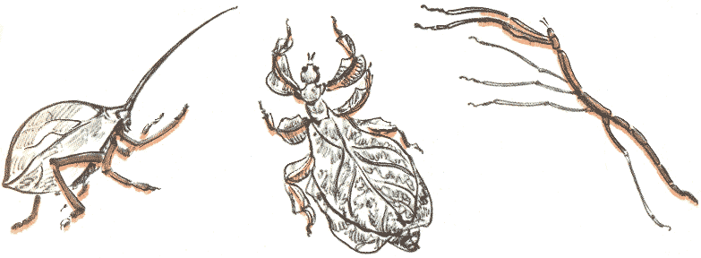 Занимательная зоология - doc2fb_image_03000035.png