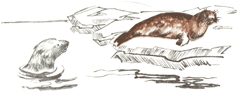 Занимательная зоология - doc2fb_image_0300003D.png