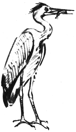 Занимательная зоология - doc2fb_image_0300003E.png