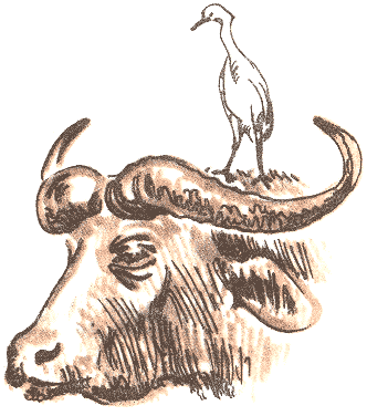 Занимательная зоология - doc2fb_image_03000053.png