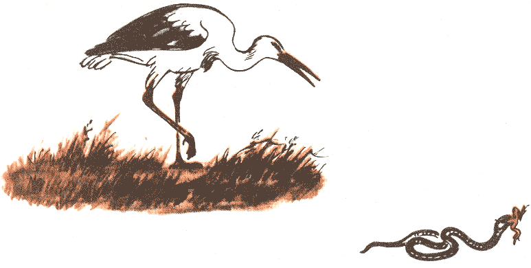 Занимательная зоология - doc2fb_image_0300005B.png