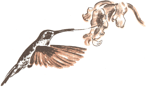 Занимательная зоология - doc2fb_image_0300005D.png