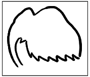 Книга путешественника во времени. Как не пропасть во времени и пространстве - pic_47.png