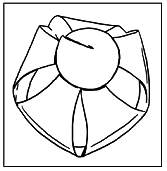 Книга путешественника во времени. Как не пропасть во времени и пространстве - pic_63.png