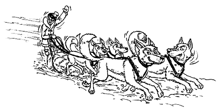Книга исследователя. Полезные советы юным путешественникам - pic_7.png