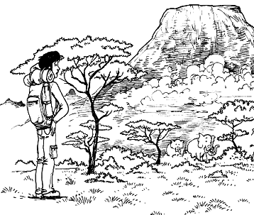 Книга исследователя. Полезные советы юным путешественникам - pic_58.png
