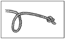 Книга исследователя. Полезные советы юным путешественникам - pic_92.png