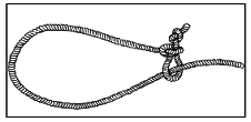 Книга исследователя. Полезные советы юным путешественникам - pic_94.png