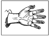 Книга исследователя. Полезные советы юным путешественникам - pic_97.png