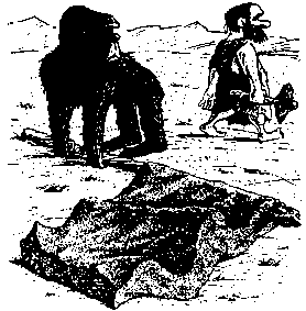 К вам мой попугай не залетал? - _2.png