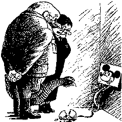 К вам мой попугай не залетал? - _7.png