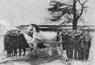 Беломорско-Балтийский канал имени Сталина - i_101.jpg