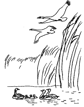 Природа донского края - i_001.png