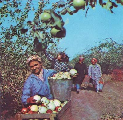 Природа донского края - i_007.jpg