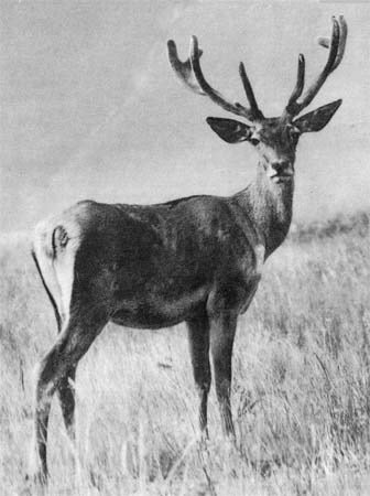 Природа донского края - i_033.jpg