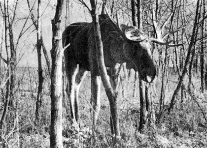 Природа донского края - i_034.jpg