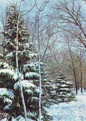 Природа донского края - i_036.jpg