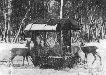 Природа донского края - i_037.jpg