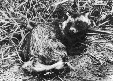 Природа донского края - i_041.jpg