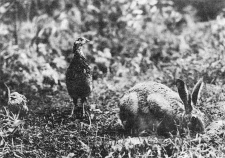 Природа донского края - i_042.jpg