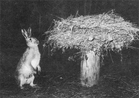 Природа донского края - i_044.jpg